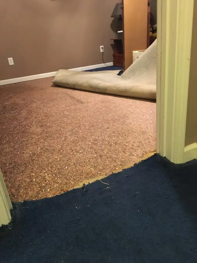 Carpet pad removal revealing water damage during Drying & Dehumidification in Sappington