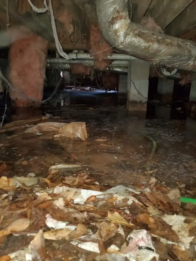Crawl space flood assessment for Commercial Water Damage Restoration in Sappington